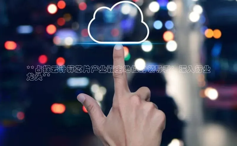 杏悦登陆路线网易**占据云计算芯片产业霸主地位的领导者：深入行业
龙头**