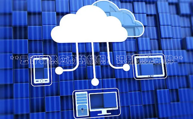 杏悦招商b176五827夏百度人工翻译**云计算供应商的旗帜：识别领先品牌**