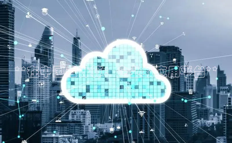 杏悦1平台登录入口京东**在中国云计算：企业级应用平台**