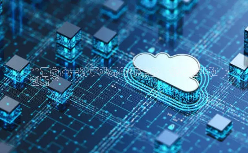 杏悦APP官网视觉中国**石家庄云计算业界的领军者：领先企业和
创新**