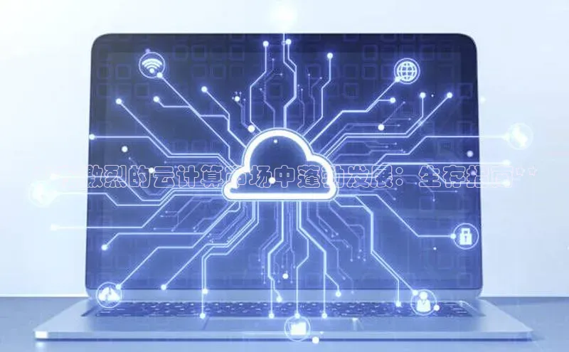 杏悦app下载官网最新版本更新内容度小满支付**在激烈的云计算市场中蓬勃发展：生存指南**