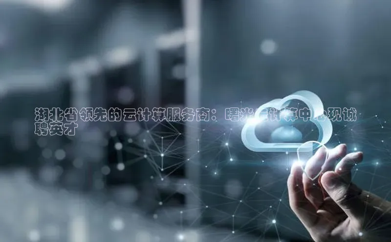 杏悦娱乐官方网站入口宇信科技湖北省领先的云计算服务商：曙光云计算中心现诚
聘英才