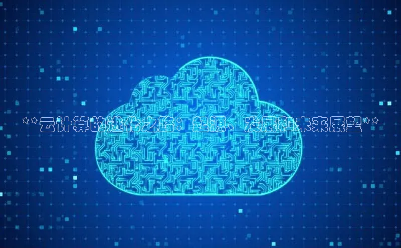 杏悦娱乐注册平台挪威主权基金**云计算的进化之路：起源、发展和未来展望**