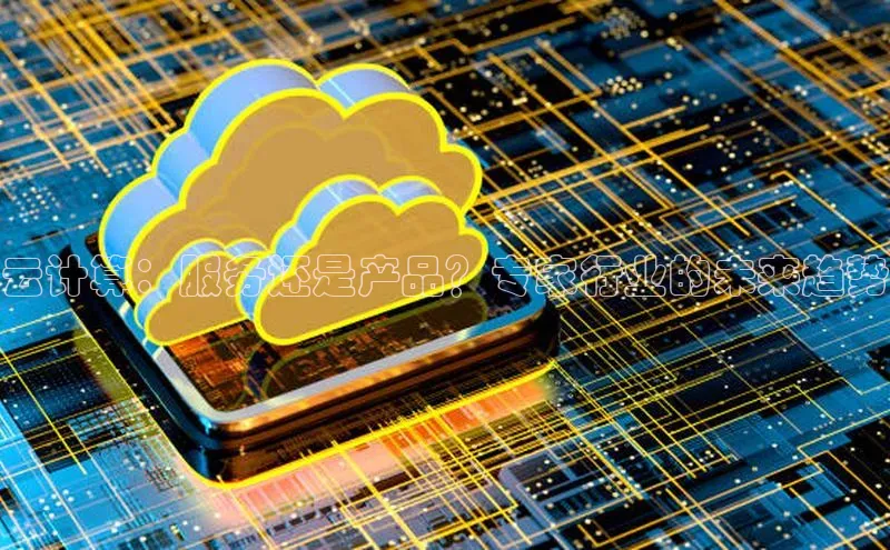 杏悦股东z176五827梨文心一言云计算：服务还是产品？专家行业的未来趋势