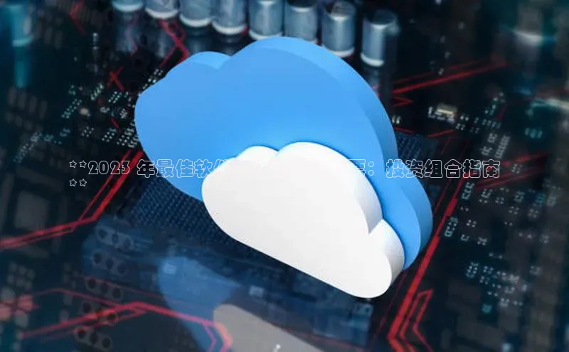 杏悦登陆路线雷柏科技**2023 年最佳软件云计算龙头股票：投资组合指南
**