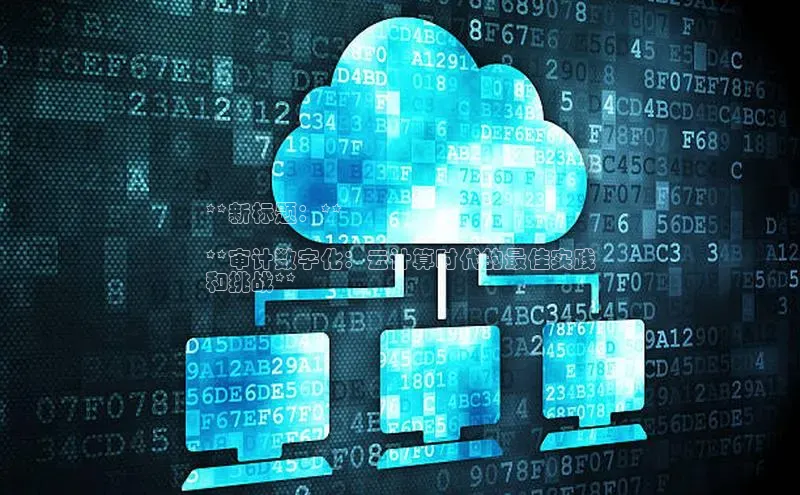 杏悦1平台登录入口京东**新标题：**

**审计数字化：云计算时代的最佳实践
和挑战**