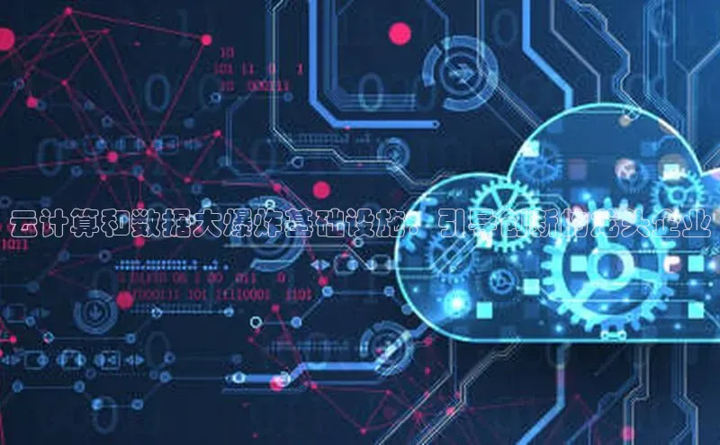 杏悦娱乐官网入口登录注册百度学术云计算和数据大爆炸基础设施：引导创新的龙头企业
