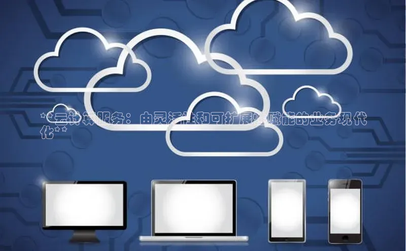 杏悦招商b176五827夏美团**云计算服务：由灵活性和可扩展性赋能的业务现代
化**
