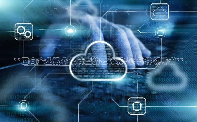 杏悦1平台登录入口百度社团赞助平台**面向企业数字化转型的云计算ERP软件领导者**