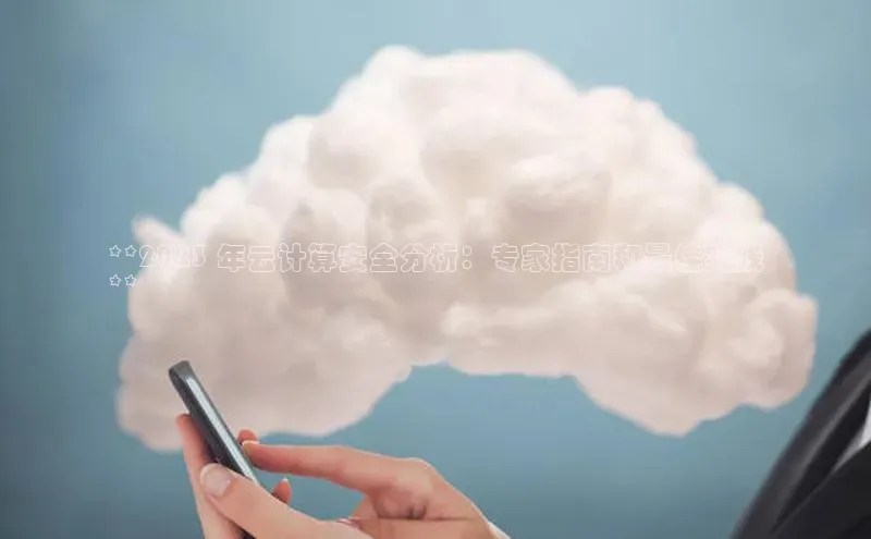 杏悦登录地址百度网盘企业版**2023 年云计算安全分析：专家指南和最佳实践
**