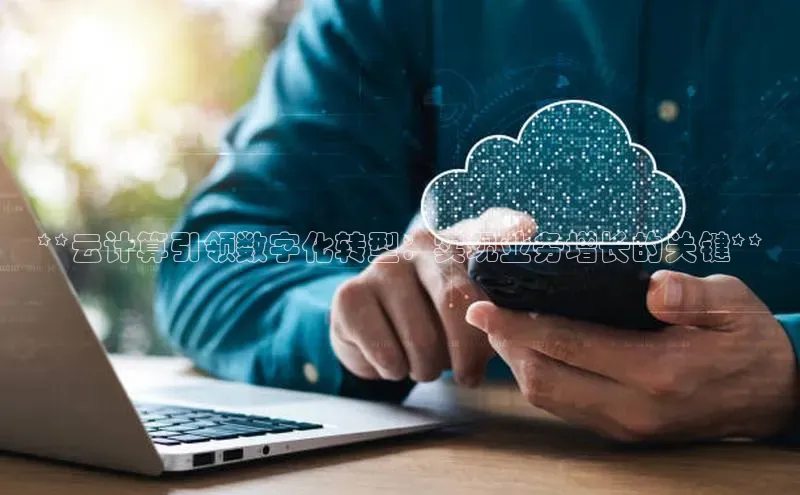 杏悦娱乐官网入口登录注册度小满理财**云计算引领数字化转型：实现业务增长的关键**