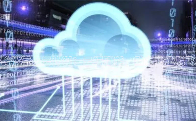 杏悦APP官方网站入口字节跳动长沙京东云计算：云端赋能，助力企业腾飞