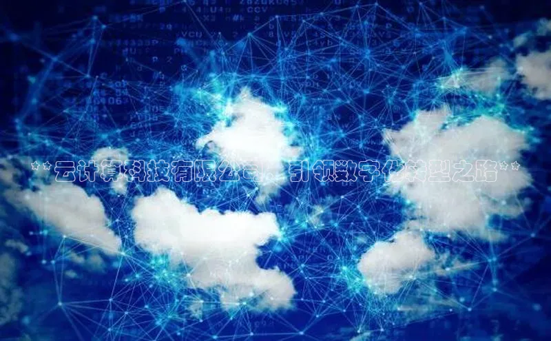 杏悦APP官网百家号**云计算科技有限公司：引领数字化转型之路**