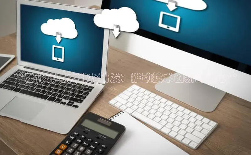 杏悦娱乐注册平台挪威主权基金**云计算与大数据研发：推动技术创新的核心**