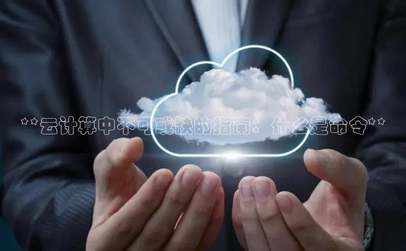 杏悦vip登录入口百度取证**云计算中不可或缺的指南：什么是命令**