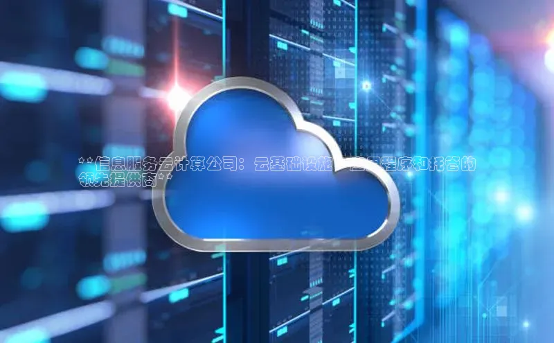 杏悦登录注册百度搜索资源平台**信息服务云计算公司：云基础设施、应用程序和托管的
领先提供商**